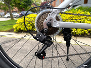 21-Speed 29” Mountain Bike (Shimano Components, Disc Brakes) - SILVER
