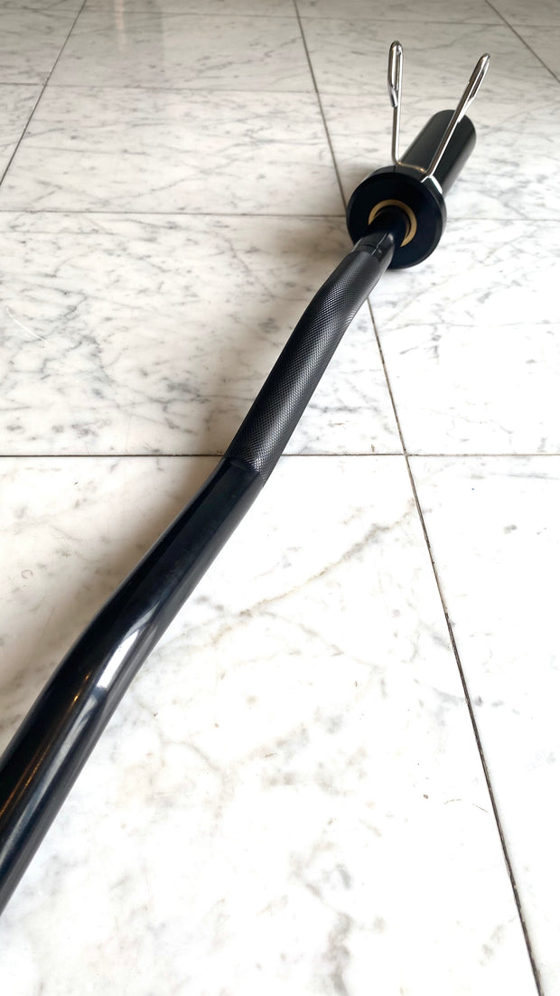 20 Lb Olympic EZ Curl Bar (4 Feet with Bearings, Collars Included) - aBellz